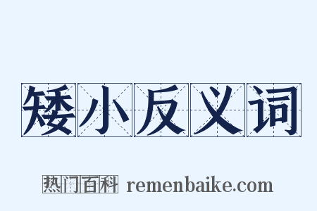 矮小反义词是什么意思的图片